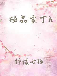 极品家丁h