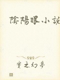 阴阳眼小说