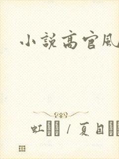 小说高官风流