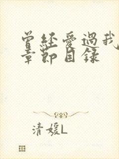 曾经爱过我刘念章节目录