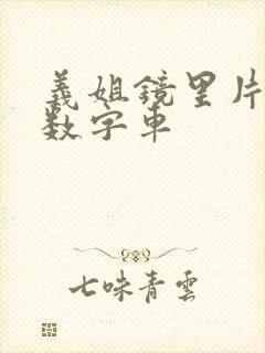 义姐镜里片微博数字车