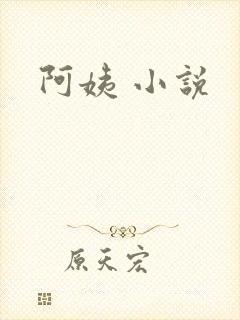 阿姨 小说