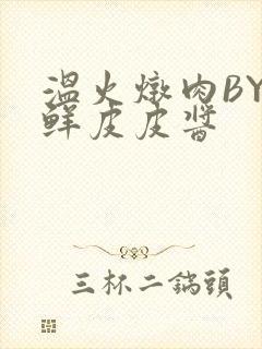 温火炖肉BY海鲜皮皮酱