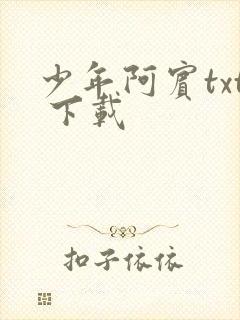 少年阿宾txt 下载