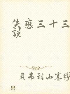 失恋三十三天小说