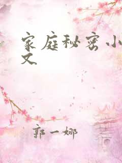 家庭秘密小说全文
