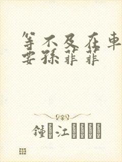 等不及在车里就要孙菲菲