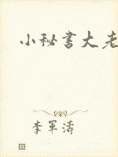 小秘书大老婆
