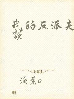 我的反派夫君小说