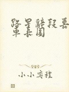 路星辞段嘉衍肉车长图