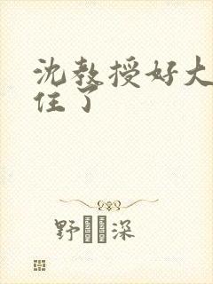 沈教授好大含不住了