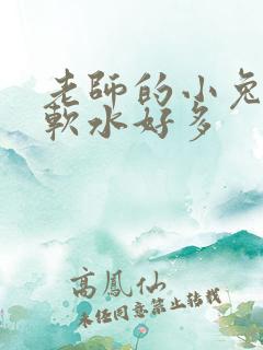 老师的小兔子好软水好多