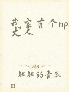 我家有个npc大人