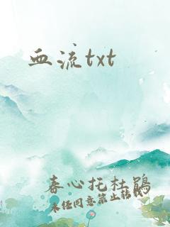 血流txt
