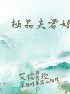 极品夫君好又多