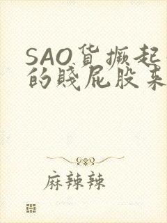 SAO货撅起你的贱屁股来