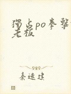 独占po拳击馆老板