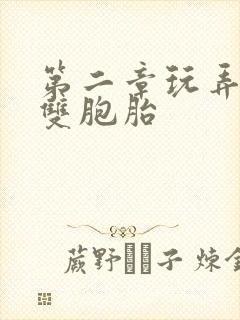 第二章玩弄少妇双胞胎