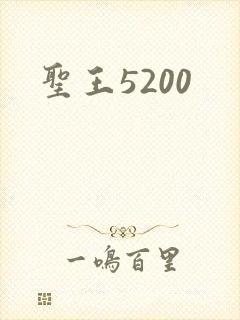 圣王5200