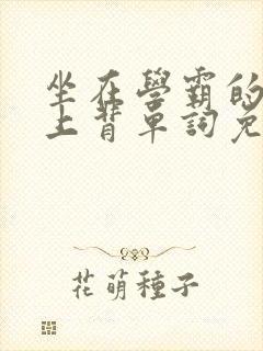 坐在学霸的棍子上背单词免费观看