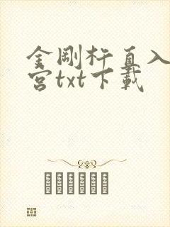 金刚杵直入莲花宫txt下载