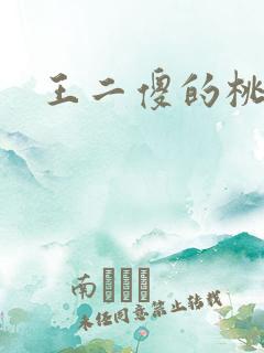 王二傻的桃花运
