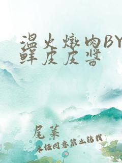 温火炖肉BY海鲜皮皮酱