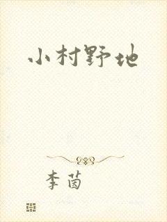 小村野地