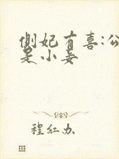 侧妃有喜:公主是小妾