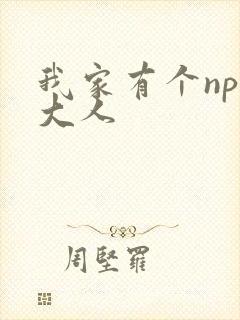 我家有个npc大人