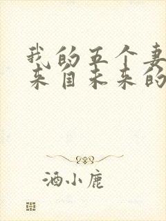 我的五个妻子和来自未来的孩子