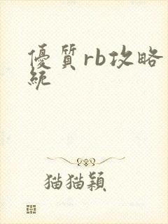 优质rb攻略系统