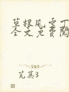 草根风云丁长生全文免费阅读