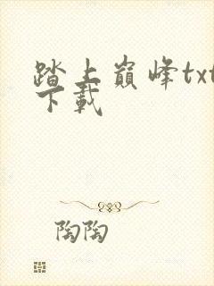 踏上巅峰txt下载