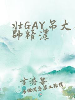 壮GAY吊大人帅精浓