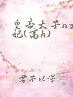 皇帝太子n太子妃(高h)