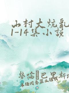 山村大炕乱肉续1-14集小说