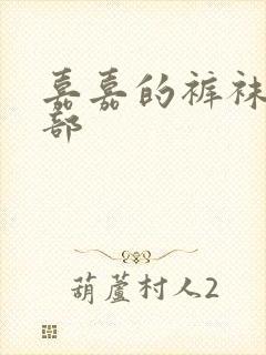 嘉嘉的裤袜第二部