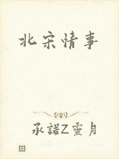 北宋情事