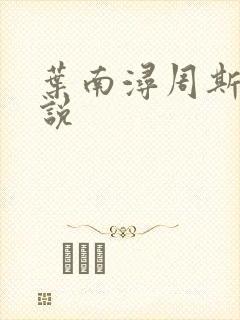 叶南浔周斯年小说