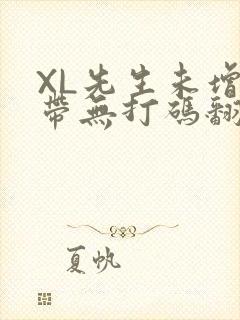 XL先生未增删带无打码翻译