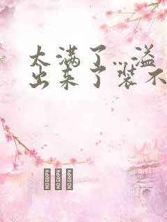 太满了...溢出来了装不下了