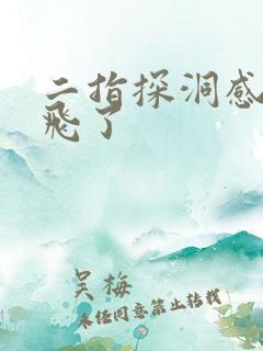 二指探洞感觉要飞了