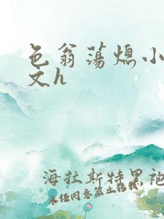 色翁荡熄小说全文h