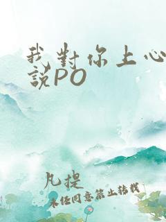 我对你上心了小说PO