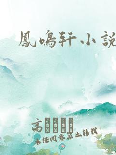 凤鸣轩小说