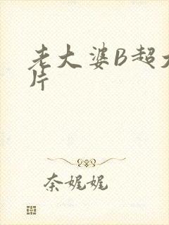 老大婆B超大图片