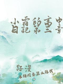 小霜的高中成长日记第三章