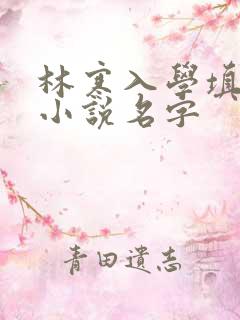 林寒入学填未婚小说名字