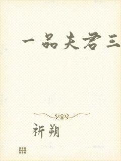 一品夫君三流妻